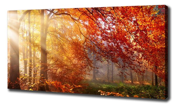 Imprimare tablou canvas pădure de toamnă