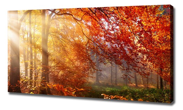 Imprimare tablou canvas pădure de toamnă