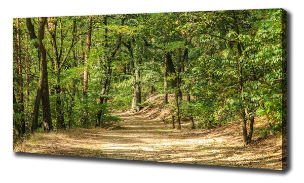 Pictură pe pânză drum forestier
