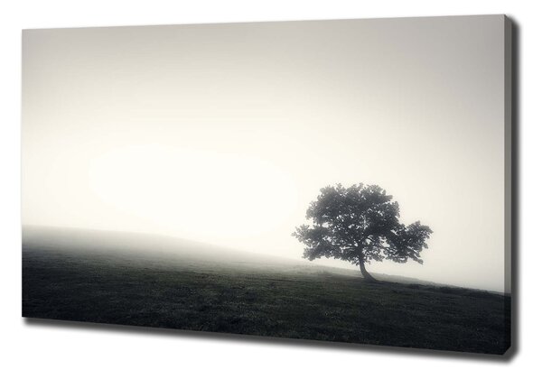 Print pe pânză Lone tree