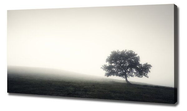Print pe pânză Lone tree