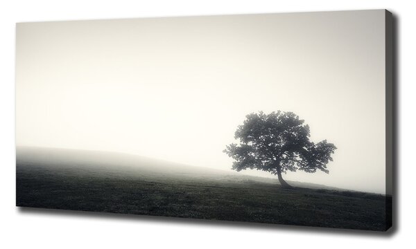 Print pe pânză Lone tree