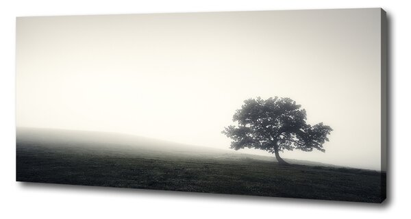 Print pe pânză Lone tree