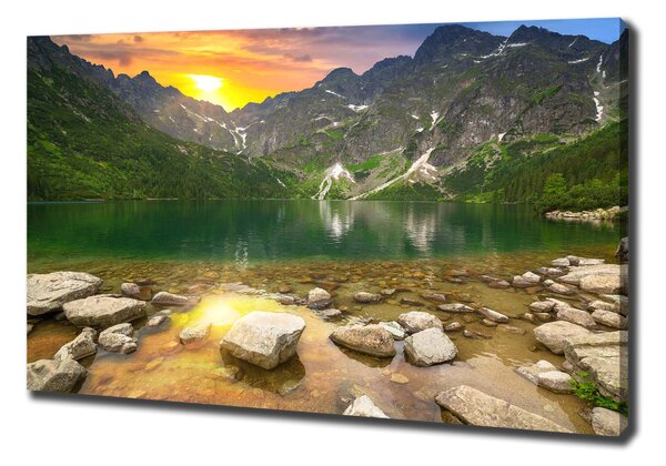 Print pe canvas Marine ochi Tatry