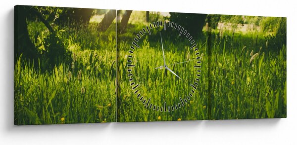 Tablou cu natura - lunca (cu ceas) (90x30 cm)