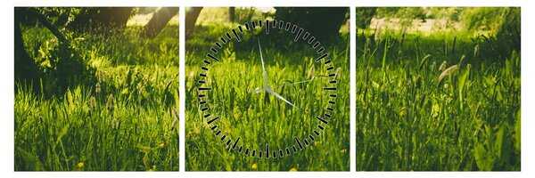 Tablou cu natura - lunca (cu ceas) (90x30 cm)