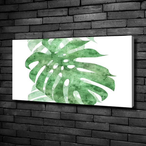 Print pe canvas Monstera