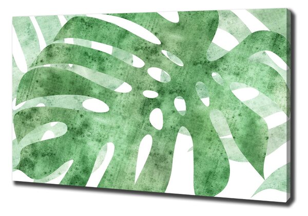 Print pe canvas Monstera