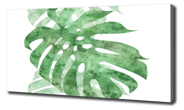 Print pe canvas Monstera