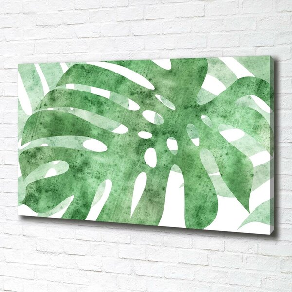 Print pe canvas Monstera