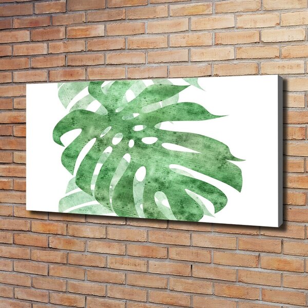 Print pe canvas Monstera