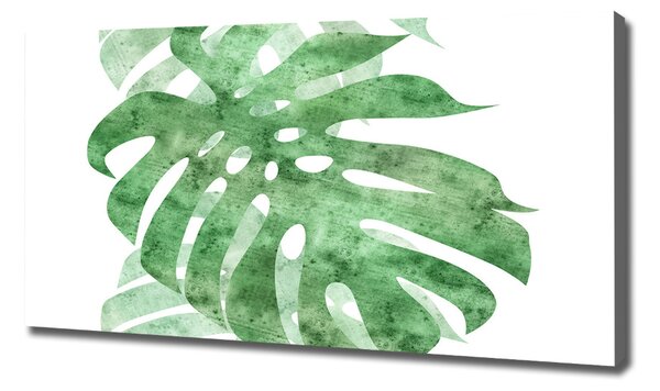 Print pe canvas Monstera