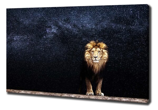 Tablou pe pânză canvas Leul pe fondul de stele