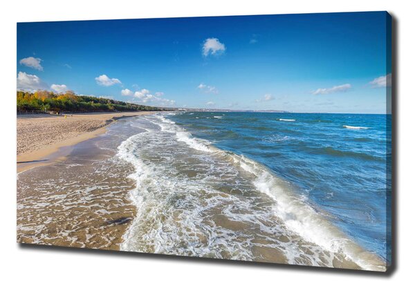 Tablou pe pânză canvas Marea Baltica