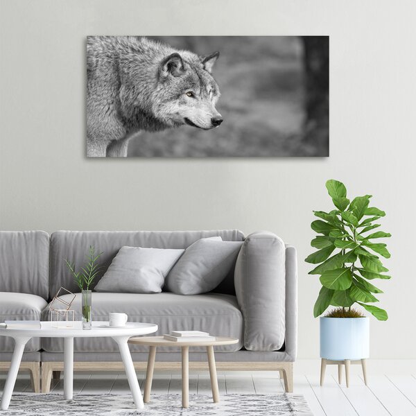 Tablou pe pânză canvas lup gri