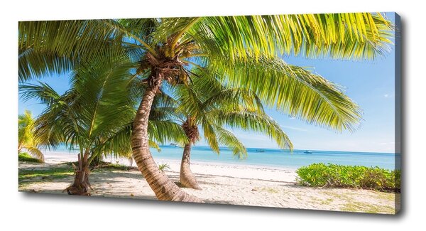 Tablou pe pânză plaja tropicala
