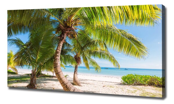 Tablou pe pânză plaja tropicala
