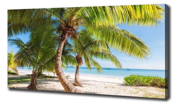 Tablou pe pânză plaja tropicala