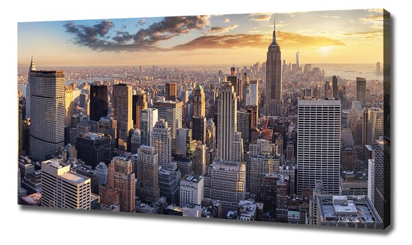 Tablou canvas New York pasăre de zbor