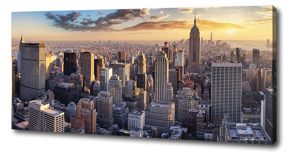Tablou canvas New York pasăre de zbor