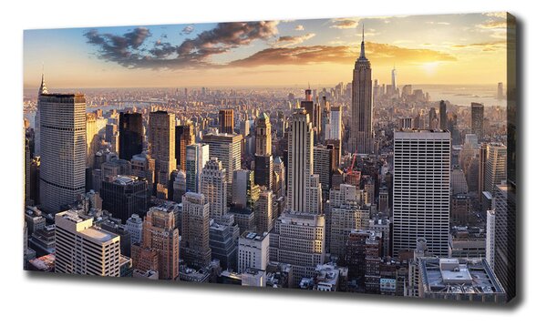 Tablou canvas New York pasăre de zbor