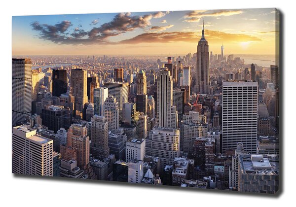 Tablou canvas New York pasăre de zbor