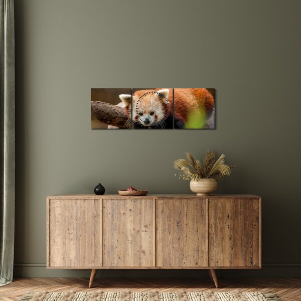Tablou cu panda roșie (cu ceas) (90x30 cm)