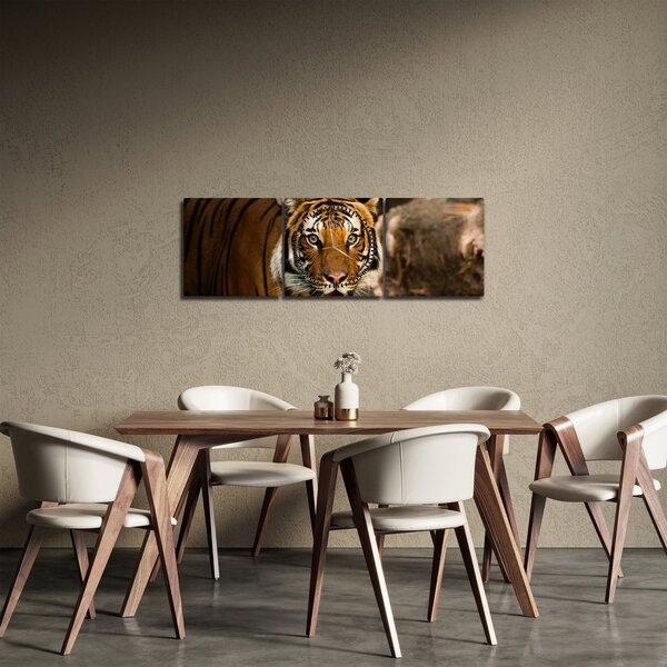 Tablou cu tigrul (cu ceas) (90x30 cm)