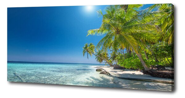 Tablouri tipărite pe pânză plaja Maldive