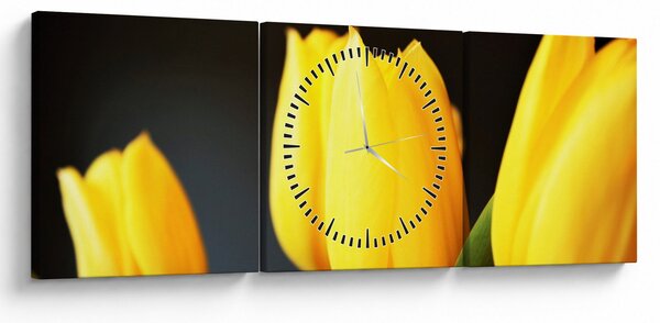 Tablou cu lalele (cu ceas) (90x30 cm)