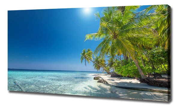 Tablouri tipărite pe pânză plaja Maldive
