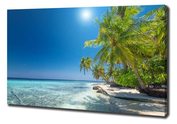 Tablouri tipărite pe pânză plaja Maldive