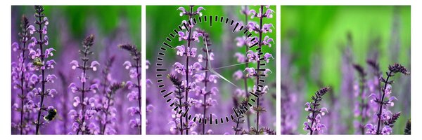 Tablou cu flori de luncă violete (cu ceas) (90x30 cm)