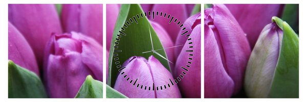 Tablou - florile lalelelor (cu ceas) (90x30 cm)