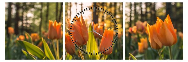 Tablou - florile lalelelor (cu ceas) (90x30 cm)