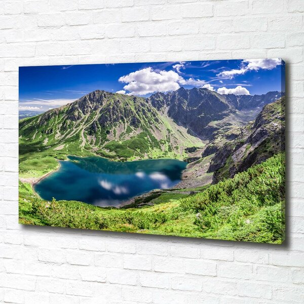 Tablouri tipărite pe pânză Negru iaz Tatry