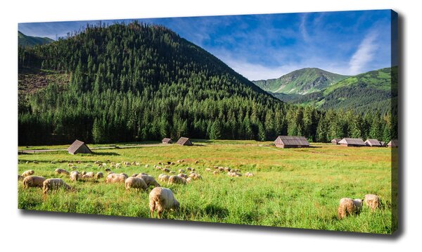Imprimare tablou canvas Oi în munții Tatra