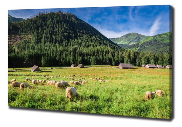 Imprimare tablou canvas Oi în munții Tatra