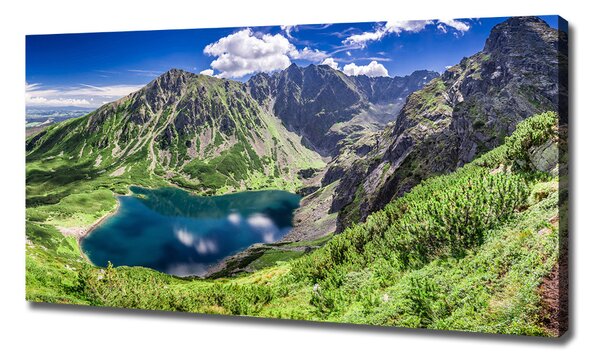 Tablouri tipărite pe pânză Negru iaz Tatry