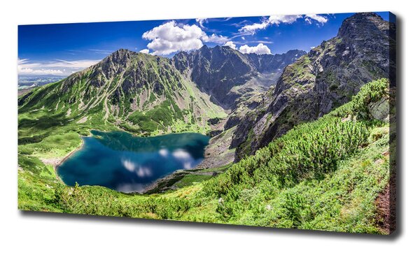 Tablouri tipărite pe pânză Negru iaz Tatry