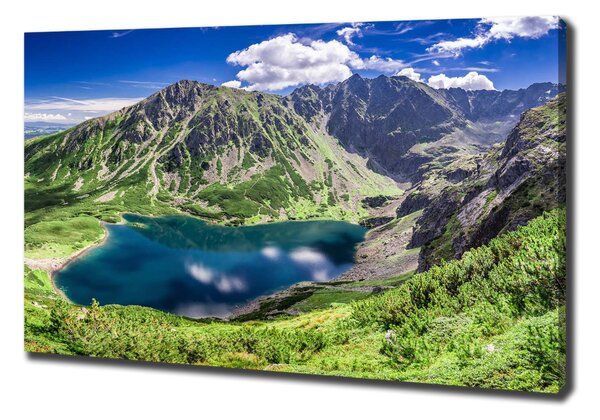 Tablouri tipărite pe pânză Negru iaz Tatry