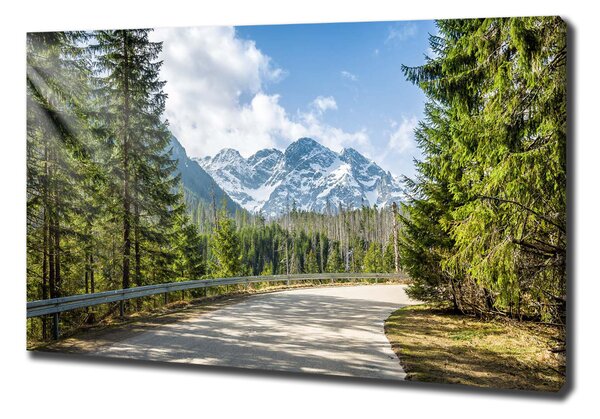 Tablou pe pânză Road Tatry