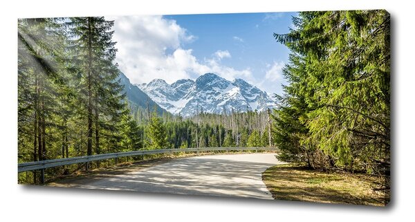 Tablou pe pânză Road Tatry