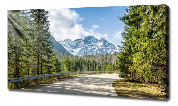 Tablou pe pânză Road Tatry
