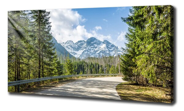 Tablou pe pânză Road Tatry