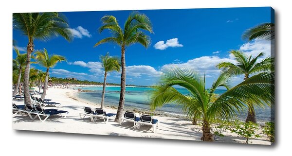 Tablou pe pânză plaja Maldive
