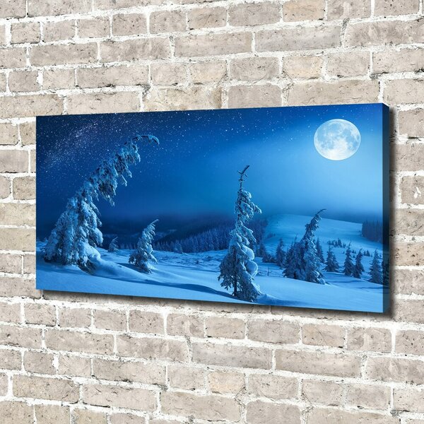 Tablou canvas Lumina lunii