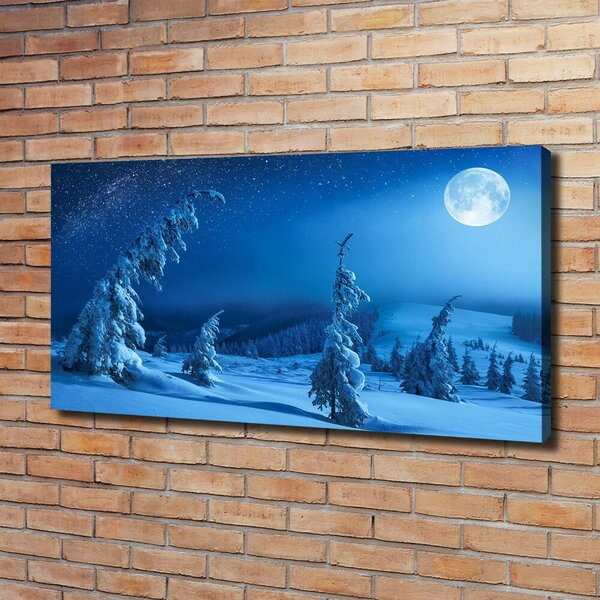 Tablou canvas Lumina lunii