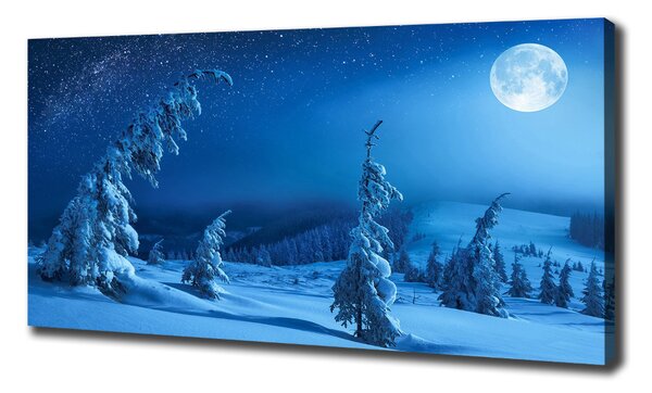 Tablou canvas Lumina lunii