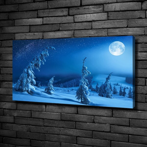 Tablou canvas Lumina lunii
